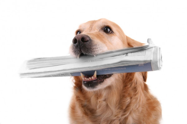 Идеи и достижения // Новости российских ювелирных брендов